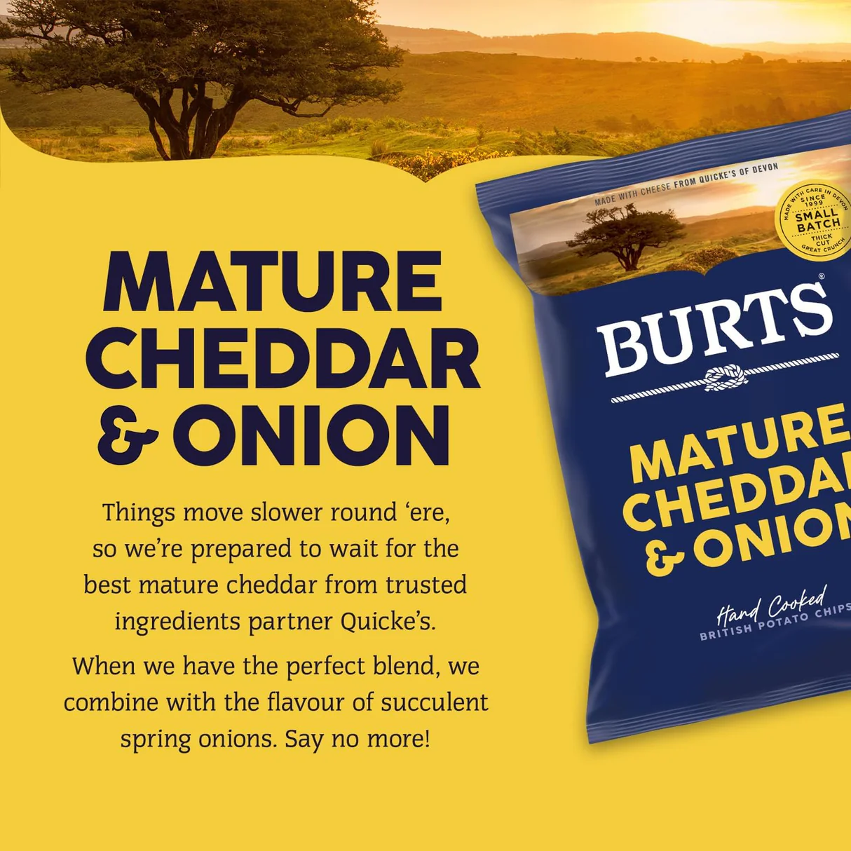 Burts Mature Cheddar And Spring Onion Crisps - 40g (Box of 20) - Image 3